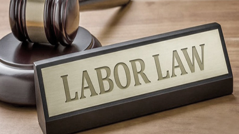Labour and employment law