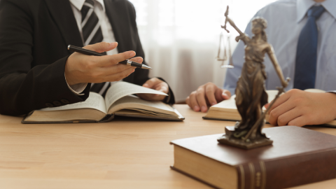 Civil and criminal litigation