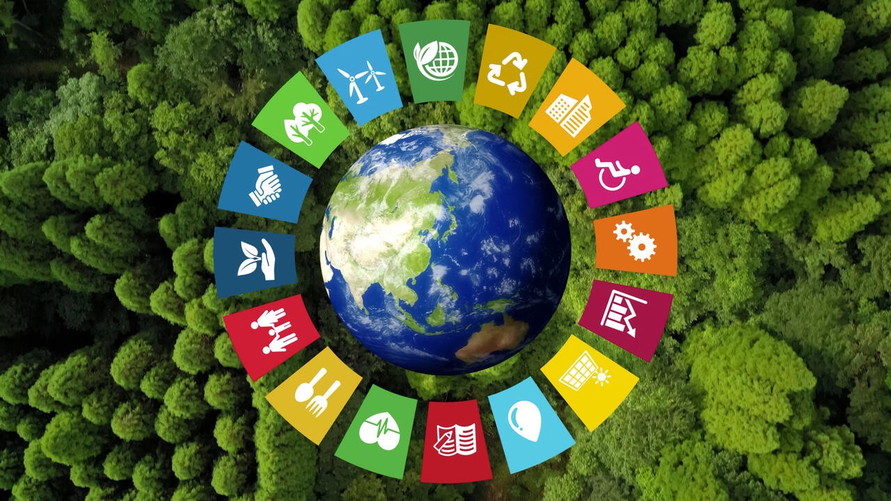 Environment and Sustainable Development